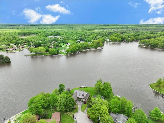 410 Geneva Pt, Roaming Shores, OH 44084 - photo 39
