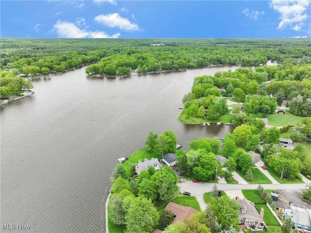 410 Geneva Pt, Roaming Shores, OH 44084 - photo 40