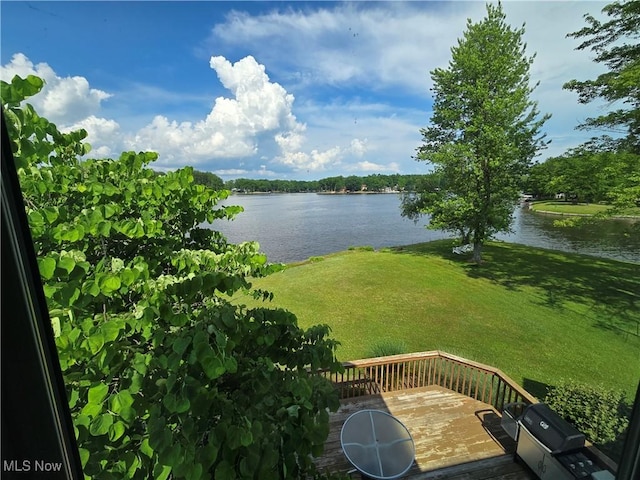 410 Geneva Pt, Roaming Shores, OH 44084 - photo 48