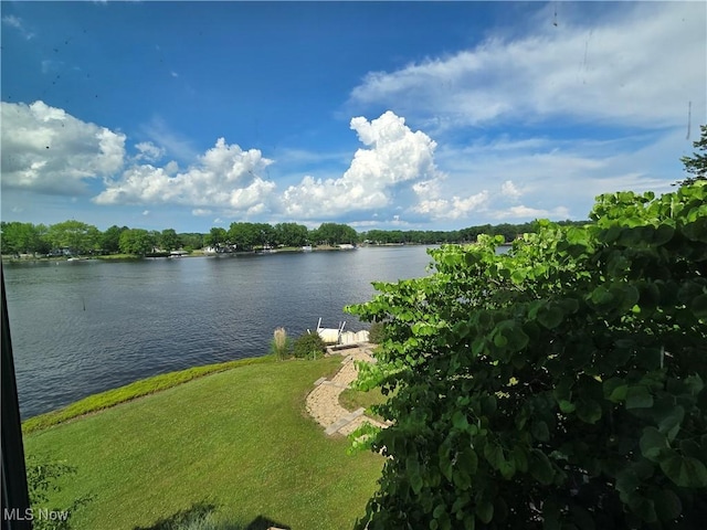 410 Geneva Pt, Roaming Shores, OH 44084 - photo 49