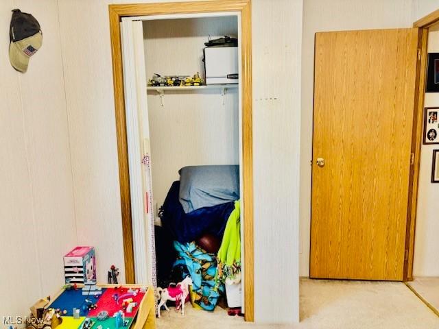 147 Northgate Dr NE, Warren, OH 44484 - view of closet