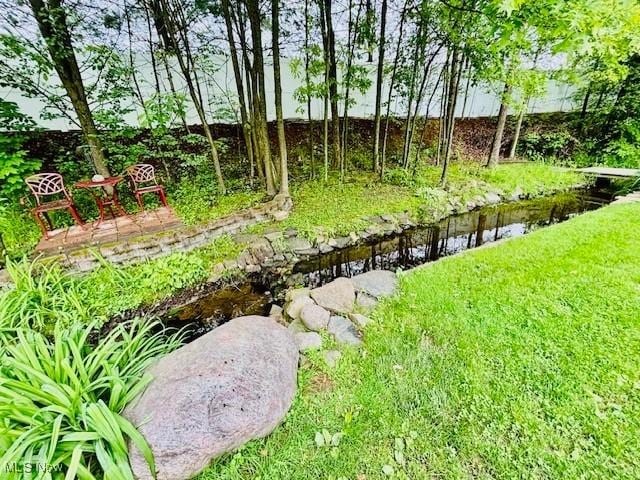 147 Northgate Dr NE, Warren, OH 44484 - view of yard