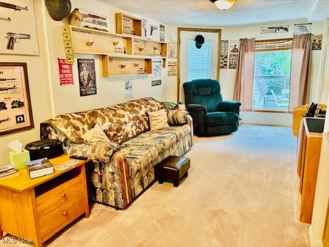147 Northgate Dr NE, Warren, OH 44484 - view of carpeted living area