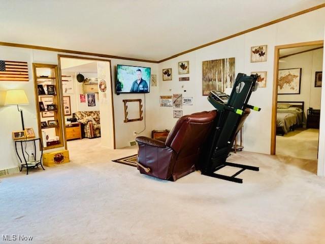 147 Northgate Dr NE, Warren, OH 44484 - living area featuring carpet flooring, crown molding, and vaulted ceiling