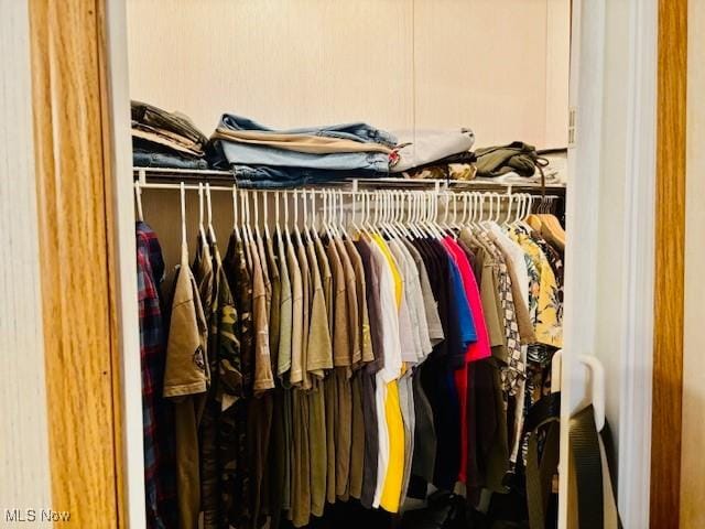 147 Northgate Dr NE, Warren, OH 44484 - view of closet