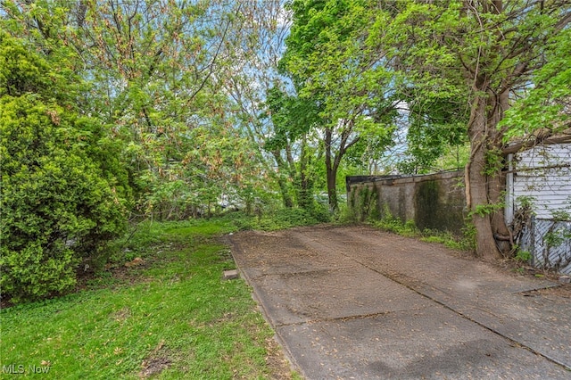 423 E 152nd St, Cleveland, OH 44110 - photo 6