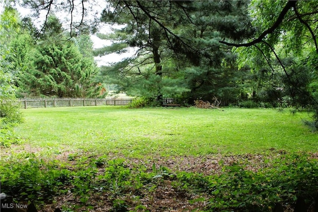 635 N Hametown Rd, Akron, OH 44333 - view of yard featuring a view of trees