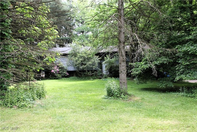 635 N Hametown Rd, Akron, OH 44333 - view of green lawn