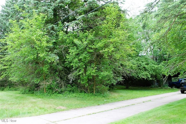 635 N Hametown Rd, Akron, OH 44333 - view of road with a forest view