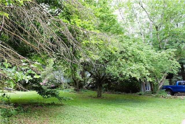 635 N Hametown Rd, Akron, OH 44333 - view of green lawn