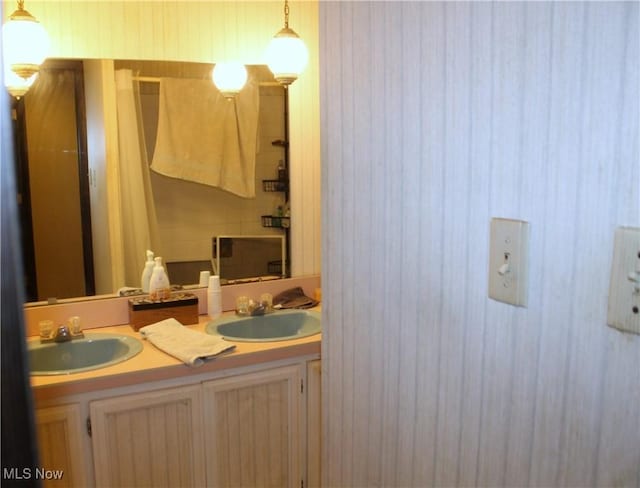 635 N Hametown Rd, Akron, OH 44333 - full bath with double vanity