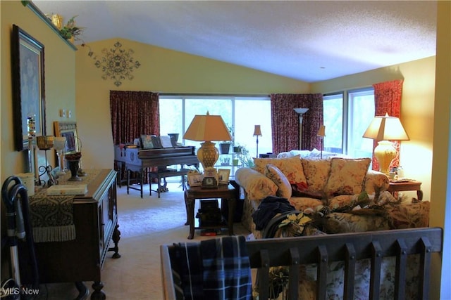 635 N Hametown Rd, Akron, OH 44333 - carpeted living room with vaulted ceiling and plenty of natural light