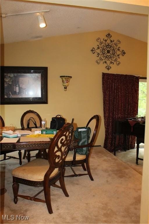 635 N Hametown Rd, Akron, OH 44333 - carpeted dining room featuring vaulted ceiling and rail lighting