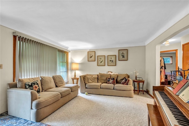 313 E 244th St, Euclid, OH 44123 - view of carpeted living room