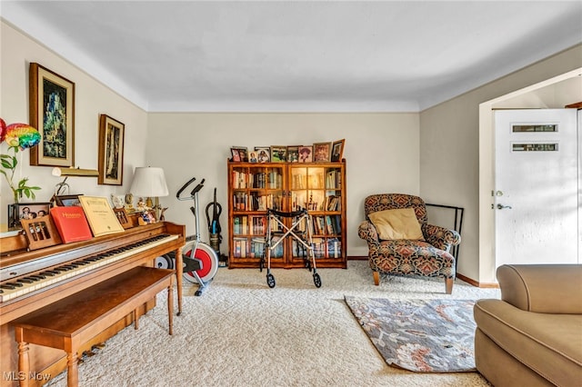 313 E 244th St, Euclid, OH 44123 - sitting room with carpet flooring and baseboards
