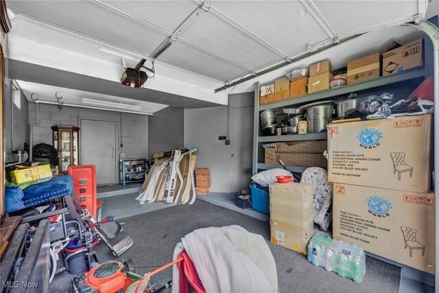 1654 Vicgross Ave, Akron, OH 44310 - garage featuring a garage door opener