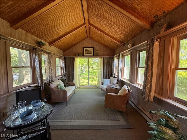 1089 Homestead Rd, South Euclid, OH 44121 - sunroom / solarium featuring plenty of natural light, wood ceiling, and wood walls