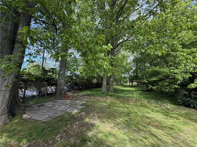 1089 Homestead Rd, South Euclid, OH 44121 - view of grassy yard featuring a patio area