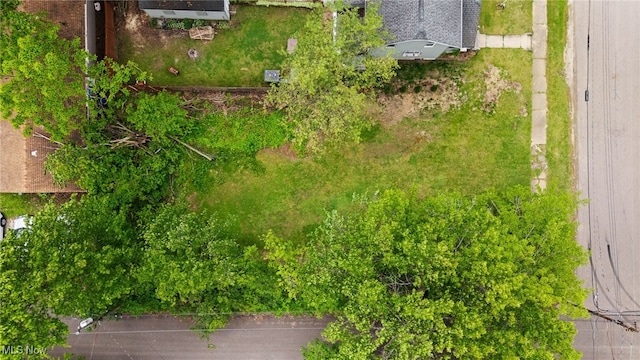 Essex St, Akron, OH 44306 - photo 12