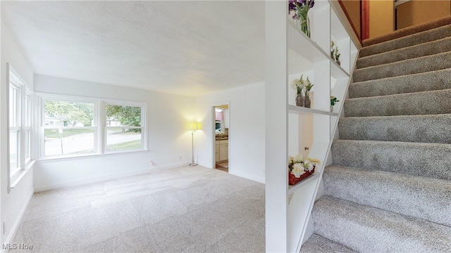 2364 Suncrest Dr, Cuyahoga Falls, OH 44221 - stairs featuring carpet floors and baseboards