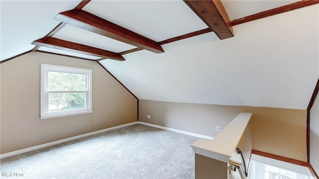 2364 Suncrest Dr, Cuyahoga Falls, OH 44221 - bonus room featuring baseboards and carpet flooring
