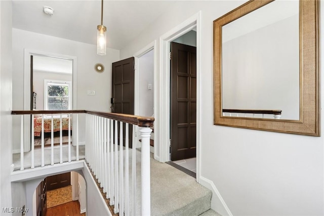 3945 Meadowbrook Blvd, University Heights, OH 44118 - stairs featuring carpet flooring and baseboards
