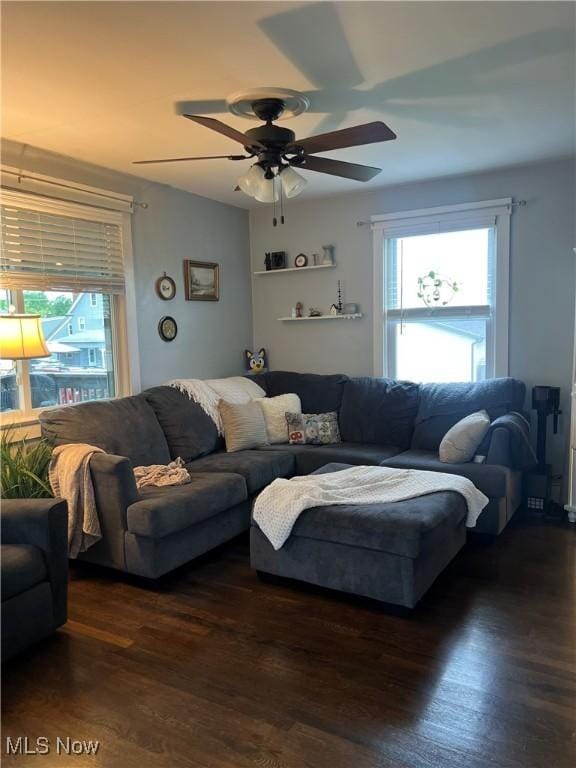 724 8th St, Struthers, OH 44471 - living area featuring a ceiling fan, healthy amount of natural light, and dark wood finished floors