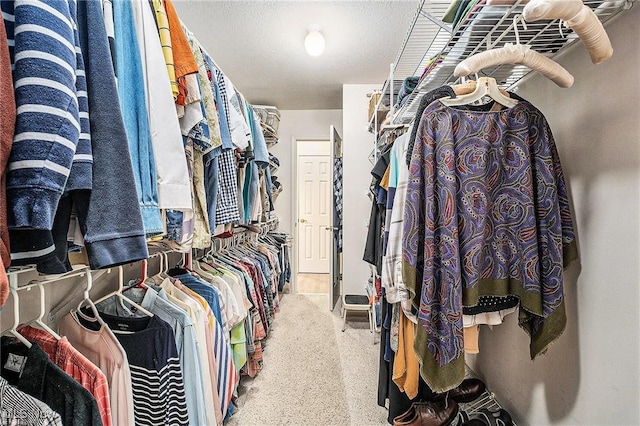 194 Lisa Ann Dr, Huron, OH 44839 - view of walk in closet