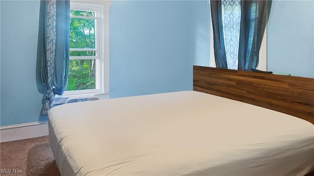 5981 Westfall St SE, Waynesburg, OH 44688 - bedroom with carpet floors