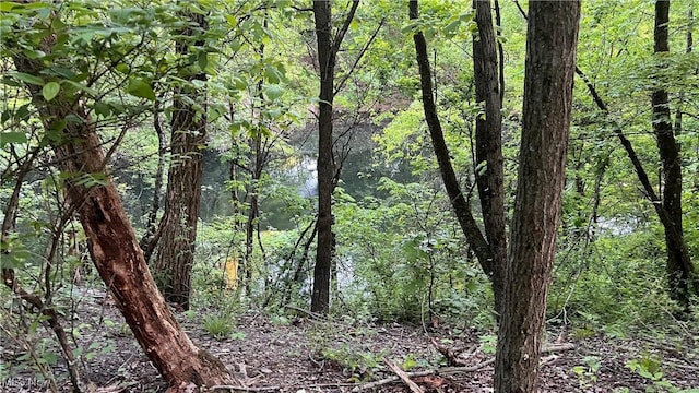 5981 Westfall St SE, Waynesburg, OH 44688 - view of wooded area