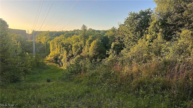 5981 Westfall St SE, Waynesburg, OH 44688 - view of local wilderness