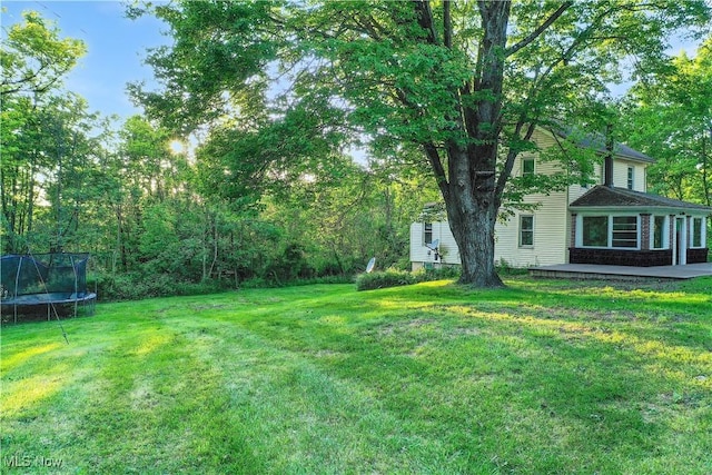 5981 Westfall St SE, Waynesburg, OH 44688 - view of green lawn featuring a trampoline