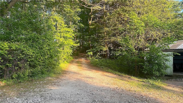 5981 Westfall St SE, Waynesburg, OH 44688 - view of dirt / gravel road