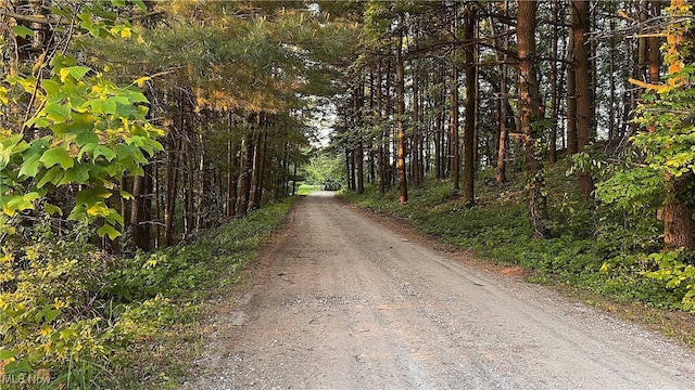 5981 Westfall St SE, Waynesburg, OH 44688 - view of dirt / gravel road with a forest view