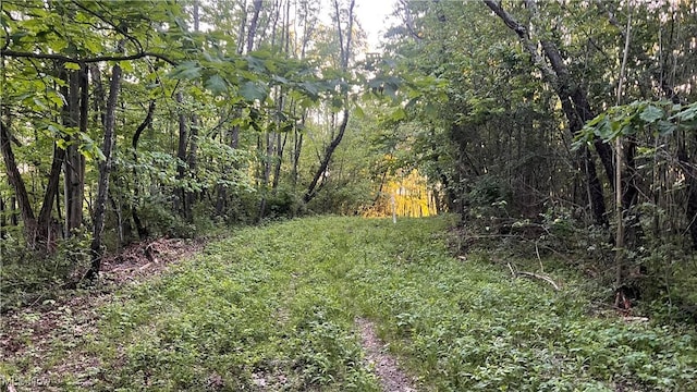 5981 Westfall St SE, Waynesburg, OH 44688 - view of tree filled area