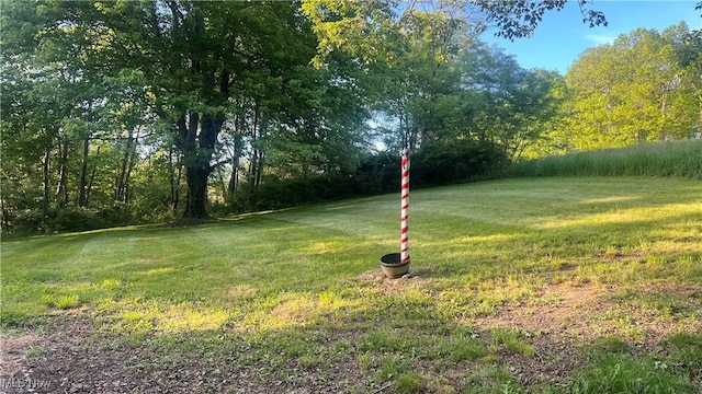 5981 Westfall St SE, Waynesburg, OH 44688 - view of grassy yard
