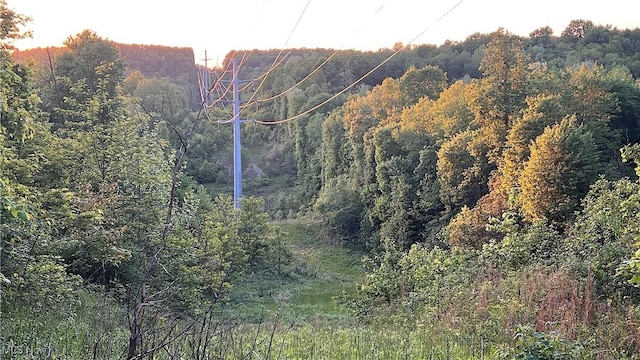 5981 Westfall St SE, Waynesburg, OH 44688 - view of tree filled area