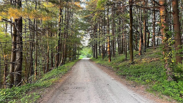 5981 Westfall St SE, Waynesburg, OH 44688 - view of street featuring a forest view
