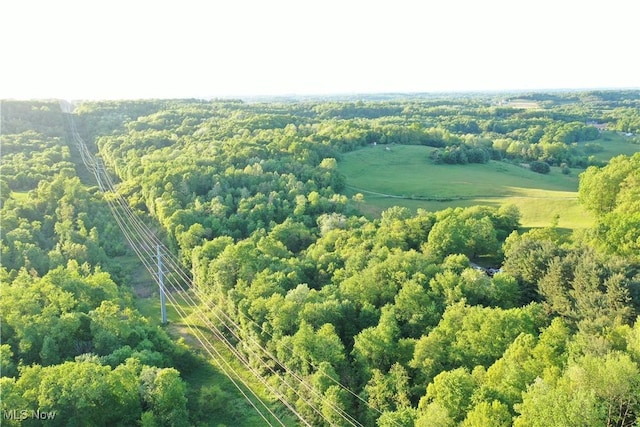 5981 Westfall St SE, Waynesburg, OH 44688 - drone / aerial view