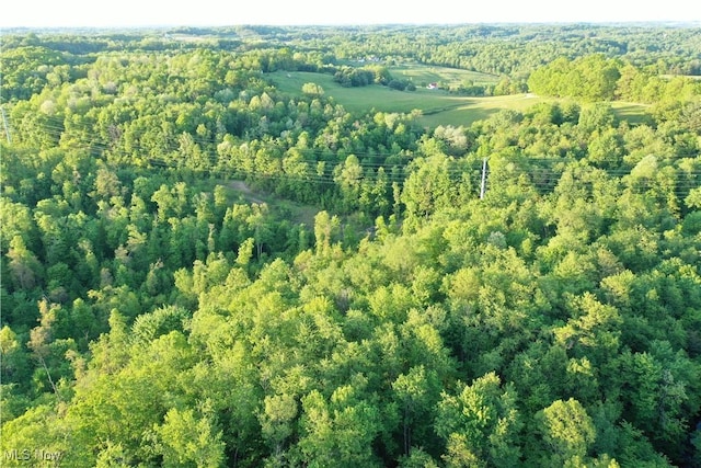 5981 Westfall St SE, Waynesburg, OH 44688 - view of property location with a heavily wooded area