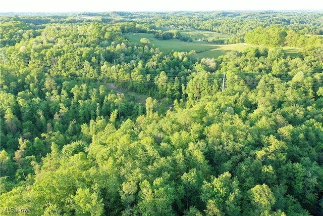 5981 Westfall St SE, Waynesburg, OH 44688 - aerial view of property and surrounding area with a heavily wooded area