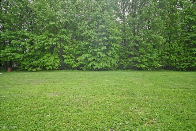 2019 Warwick Ave, Youngstown, OH 44505 - photo 33