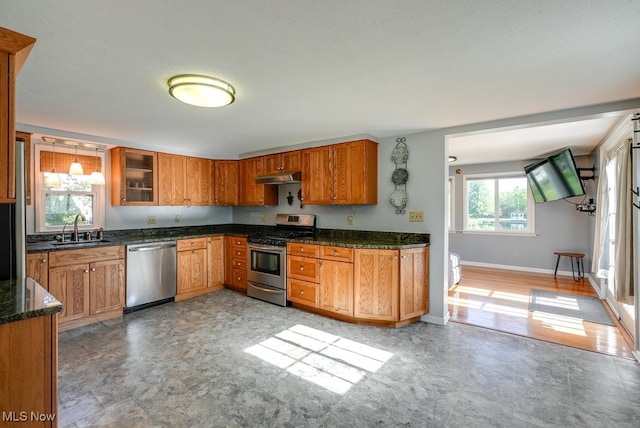 869 State Route 303, Streetsboro, OH 44241 - kitchen featuring stainless steel appliances, a sink, under cabinet range hood, and brown cabinets