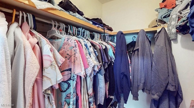 16000 Louisville St, Homeworth, OH 44634 - view of spacious closet