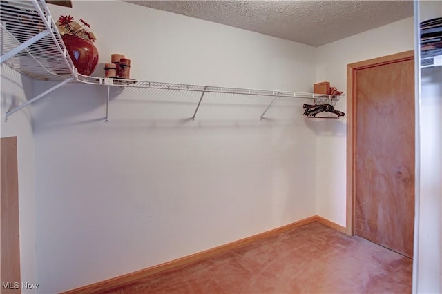 3936 Burgundy Bay Blvd W, Medina, OH 44256 - spacious closet with light colored carpet