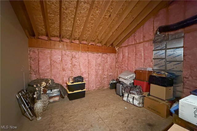 3936 Burgundy Bay Blvd W, Medina, OH 44256 - view of storage area