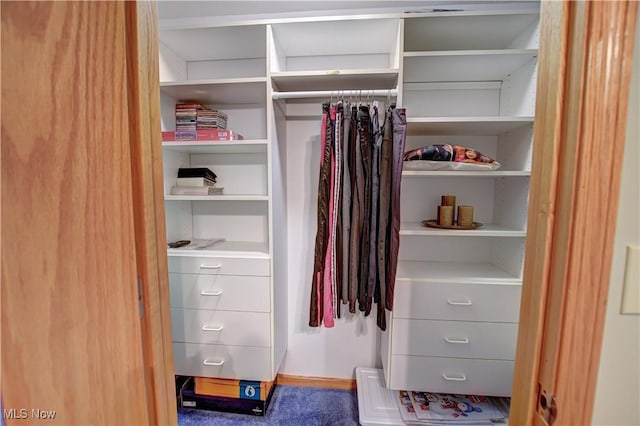 3936 Burgundy Bay Blvd W, Medina, OH 44256 - view of closet