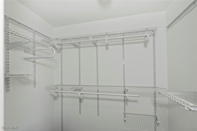 2381 Charney Rd, University Heights, OH 44118 - view of spacious closet