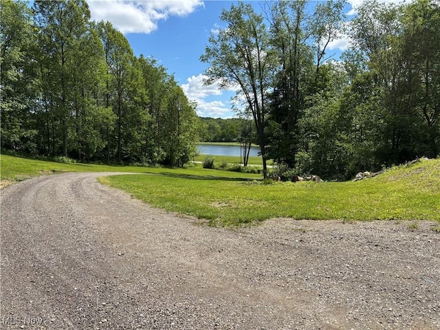 693 Evening Star Ave SE, East Canton, OH 44730 - view of dirt / gravel road with a water view and a wooded view