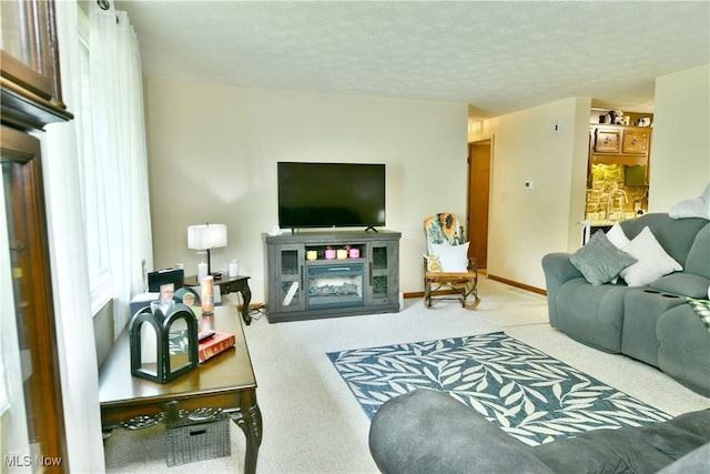 172 Camrose Dr, Niles, OH 44446 - living area featuring carpet, a textured ceiling, and baseboards